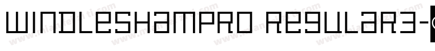 windleshampro regular3字体转换